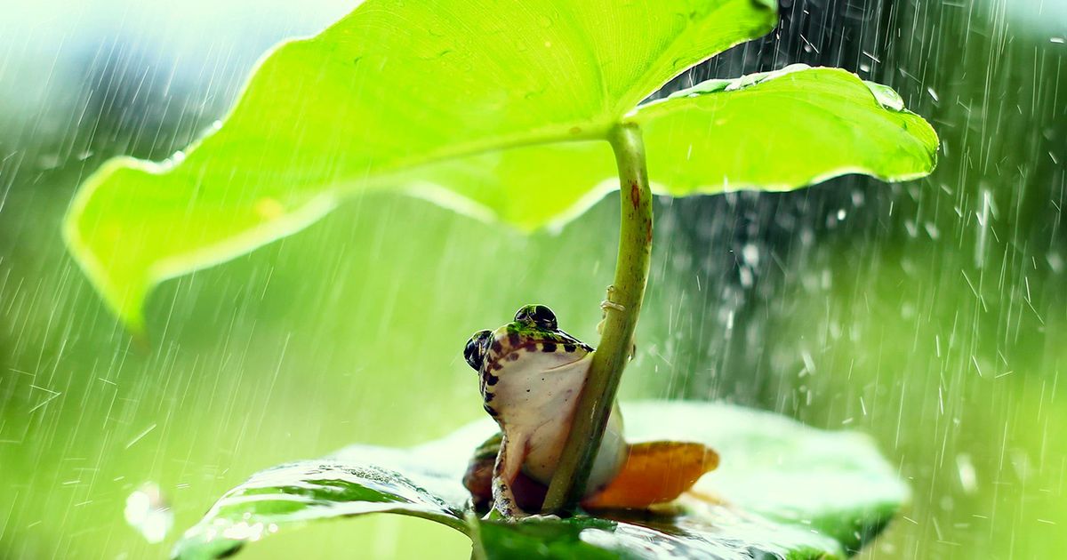 梅雨こそ狙い目！ あきる野・秋川渓谷 涼とグルメを楽しむ週末ガイド
