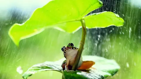 梅雨こそ狙い目! あきる野・秋川渓谷 涼とグルメを楽しむ週末ガイド