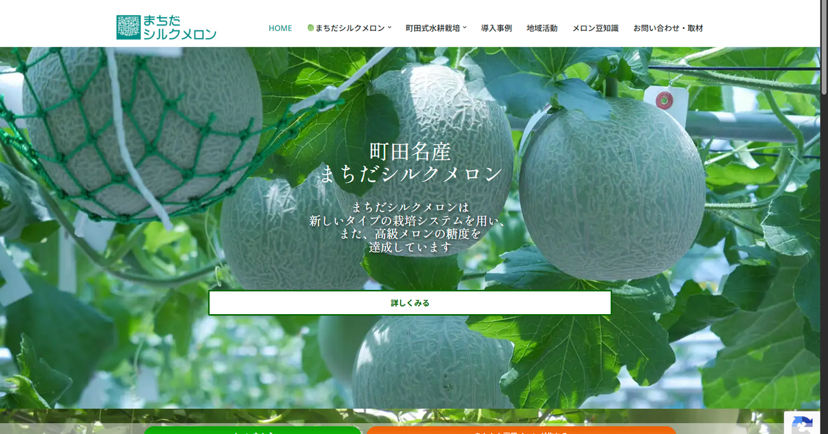 町田発の名産品「まちだシルクメロン」が今が旬 町工場発、糖度21度の高級メロン