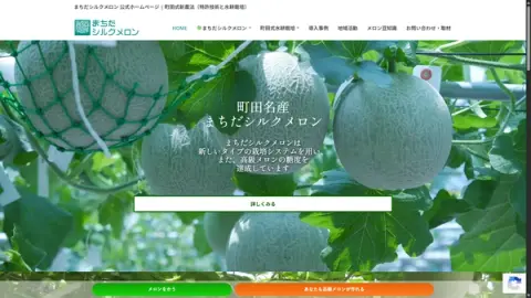 町田発の名産品「まちだシルクメロン」が今が旬 町工場発、糖度21度の高級メロン