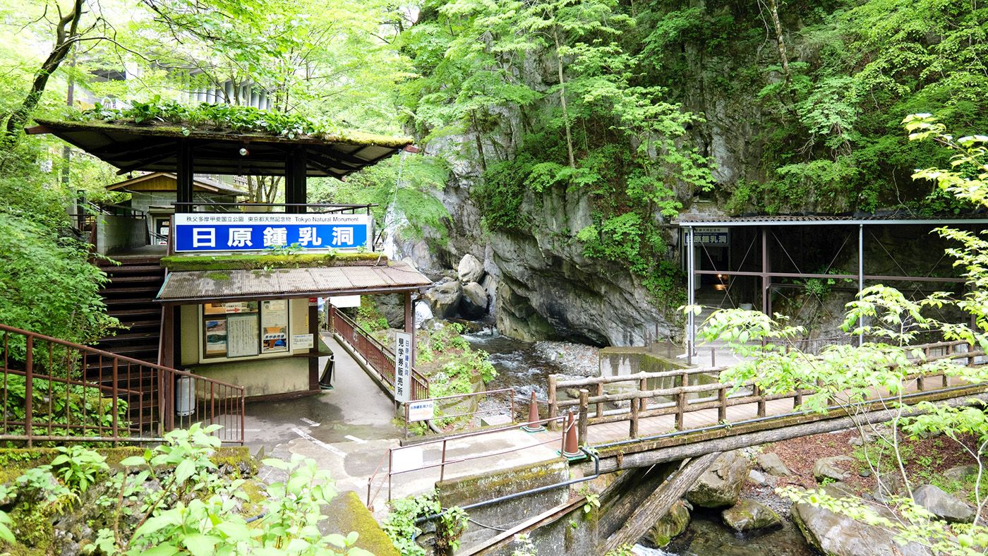 奥多摩・日原鍾乳洞 関東最大の鍾乳洞で涼む夏旅