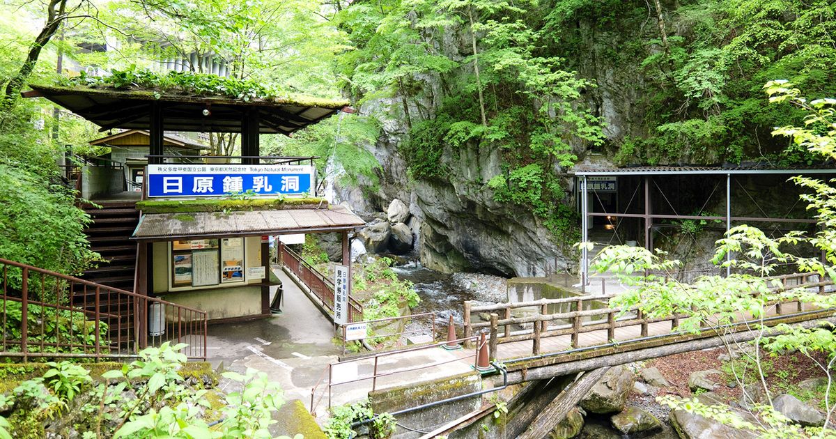 Nippara Cave in Okutama: Cool Down in the Kanto's Largest Limestone Cave