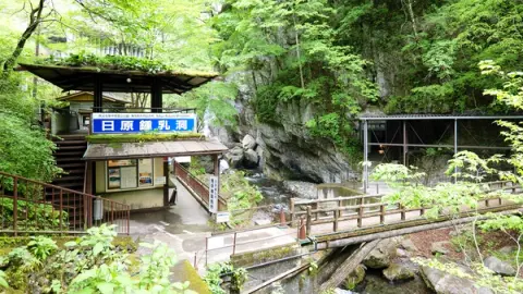 奥多摩・日原鍾乳洞 関東最大の鍾乳洞で涼む夏旅