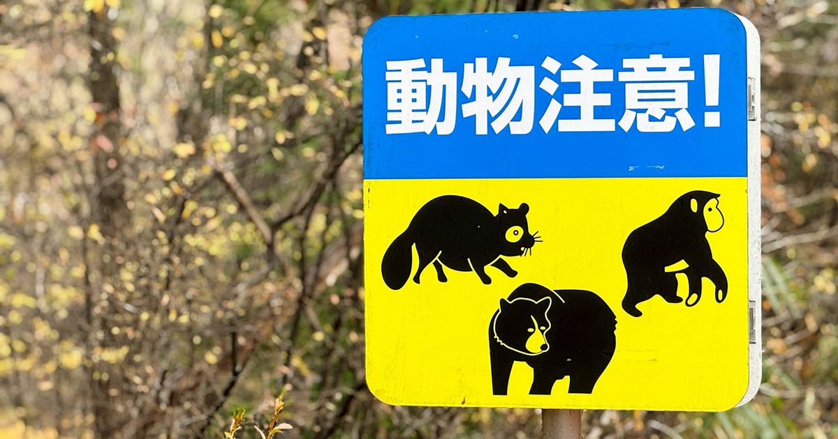 Bear Sighting in Nagabuchi, Ome City: Spotted Near Residential Area, City Issues Urgent Warning