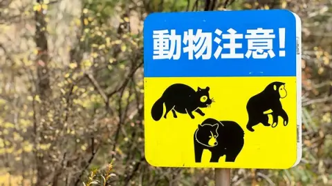 青梅市長淵でクマ出没 住宅地近くで目撃情報、市が緊急注意呼びかけ