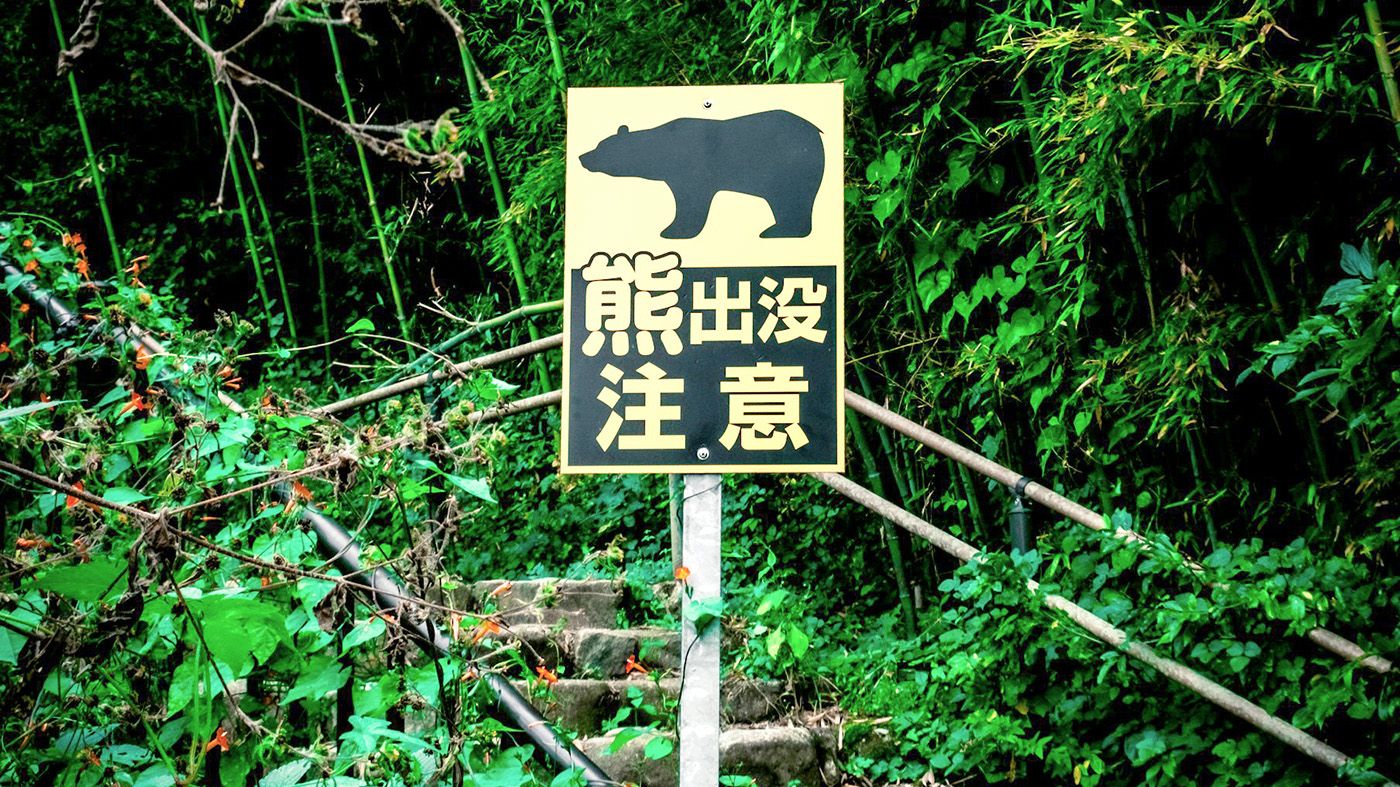 奥多摩・仙元峠で遺体発見 クマ被害の可能性と日原エリアの登山道最新情報