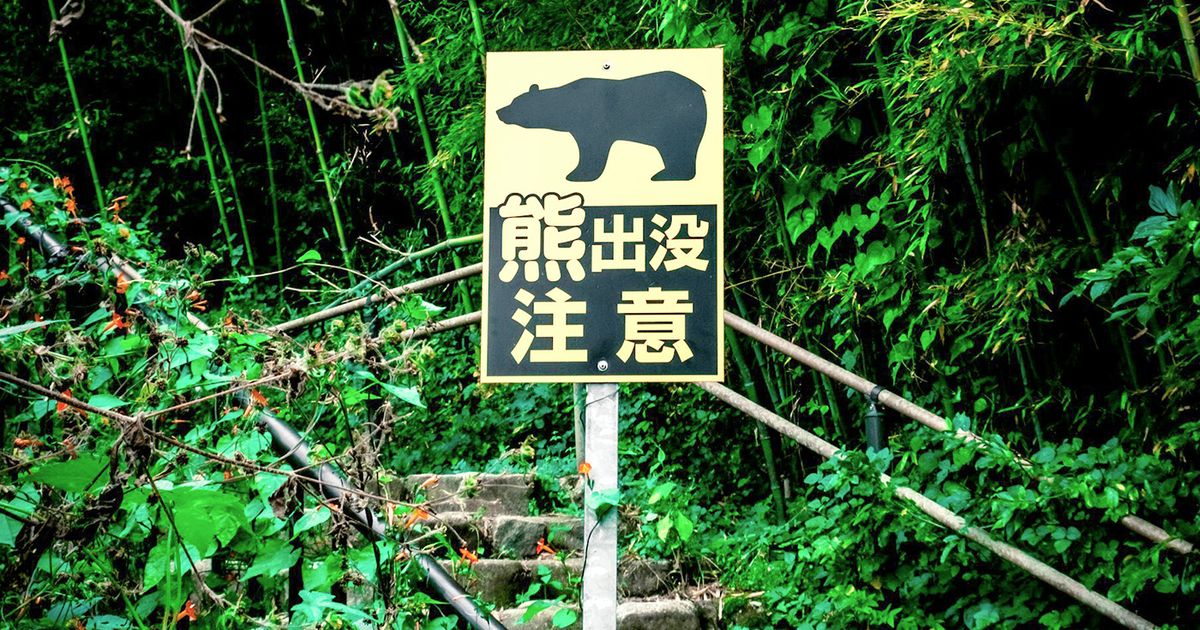 奥多摩・仙元峠で遺体発見 クマ被害の可能性と日原エリアの登山道最新情報