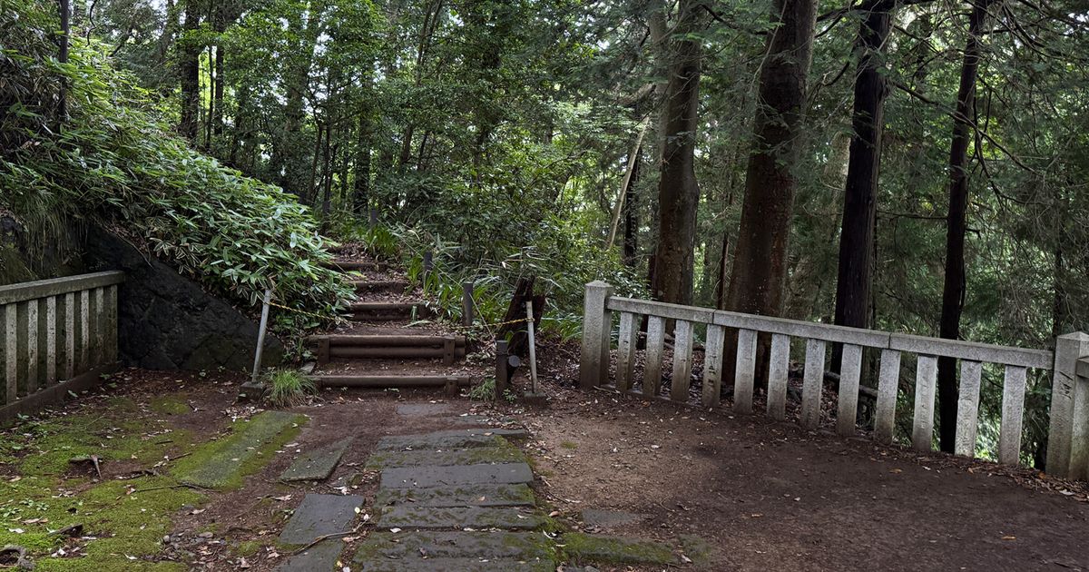八王子市がクマ撃退スプレー700本を無料配布 出没マップWebアプリも公開