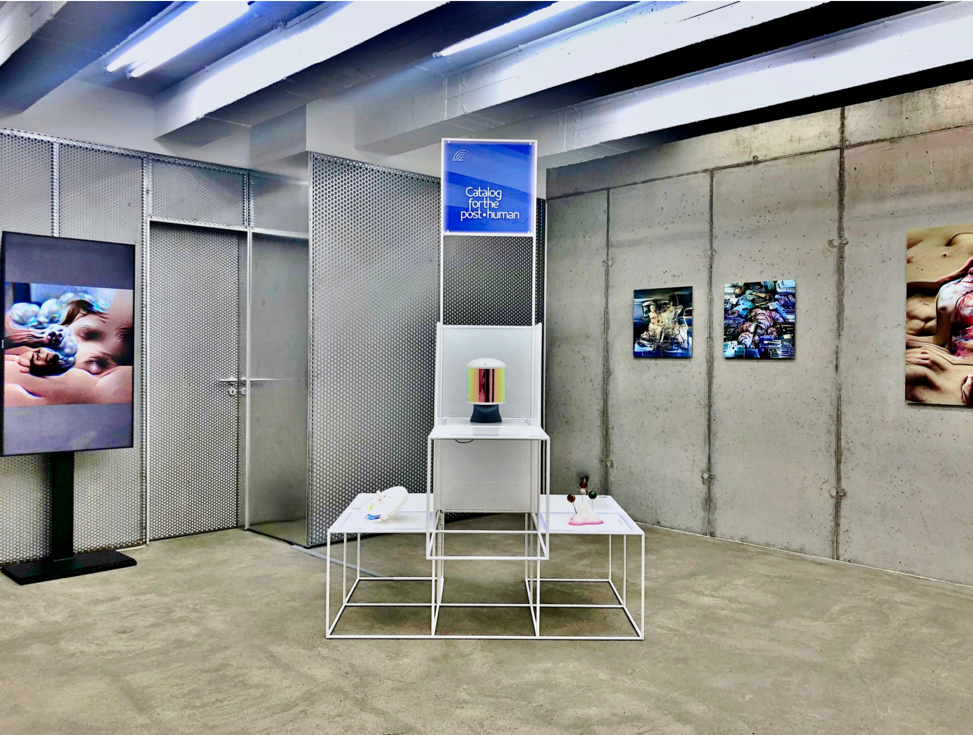 The Whole Earth 2045