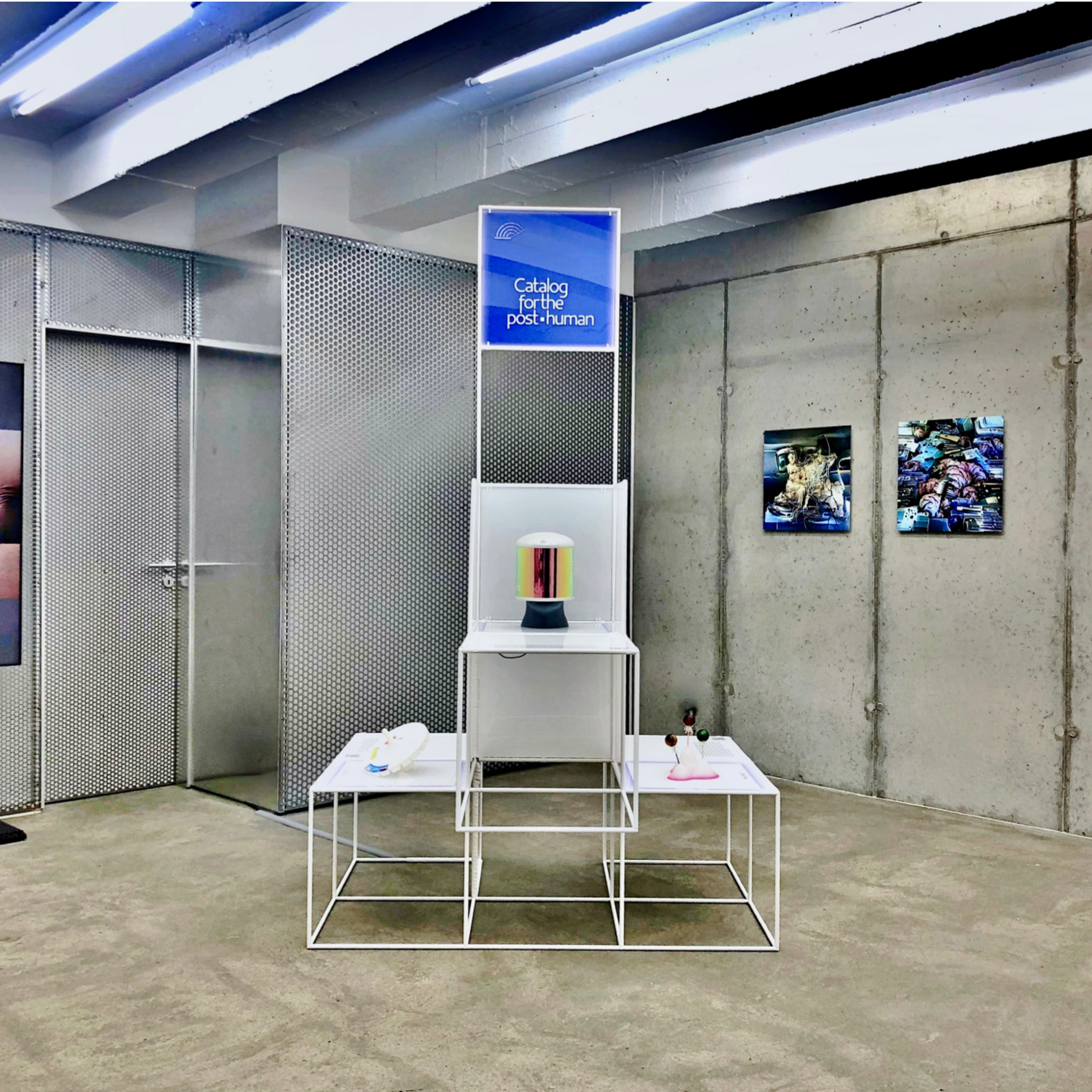 The Whole Earth 2045