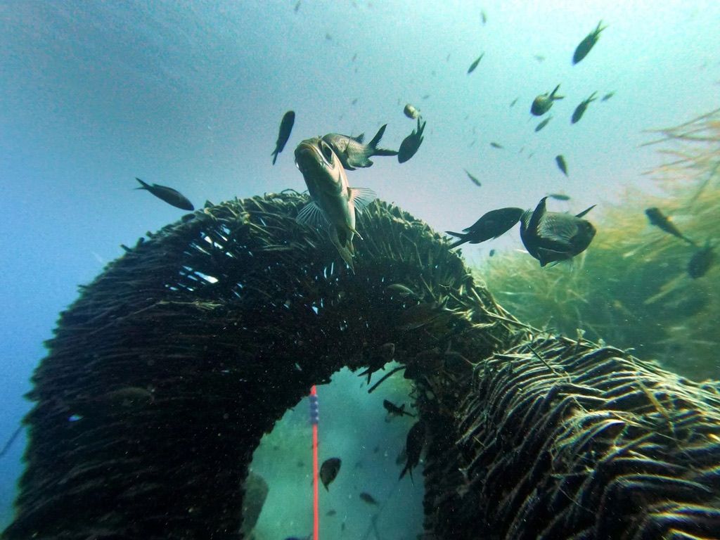 What if the Ocean Were a City?