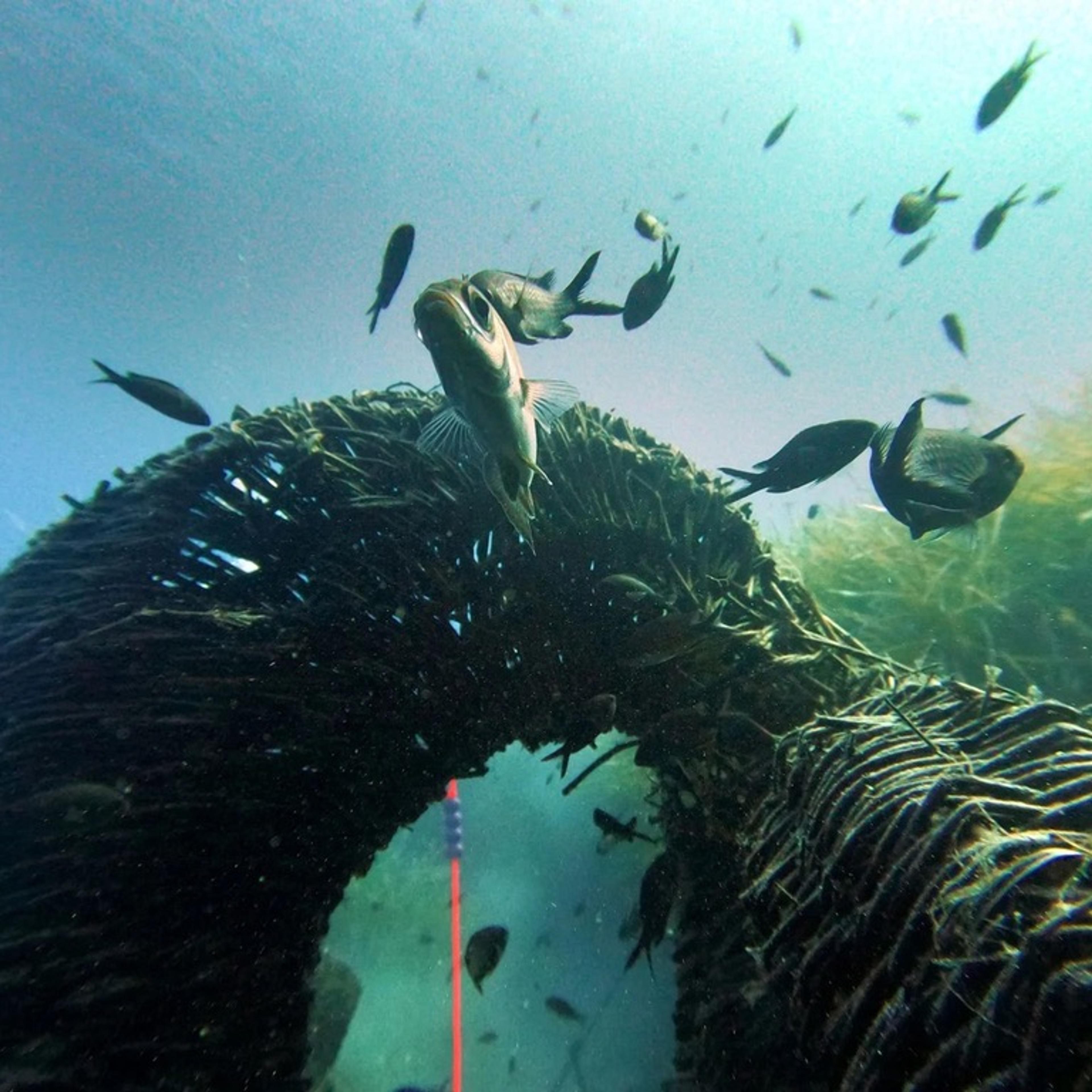 What if the Ocean Were a City?