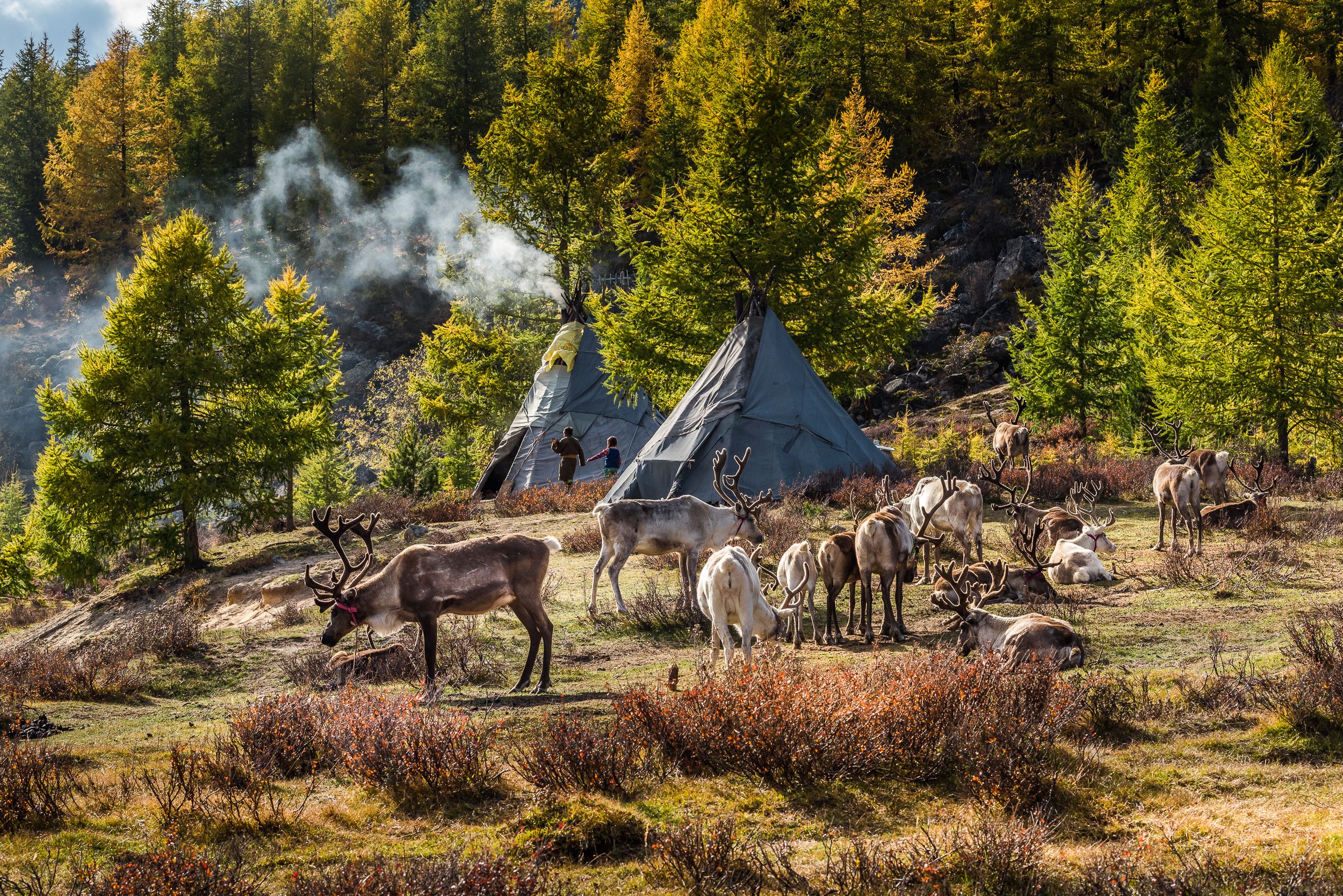 Centro Mongolia Tour