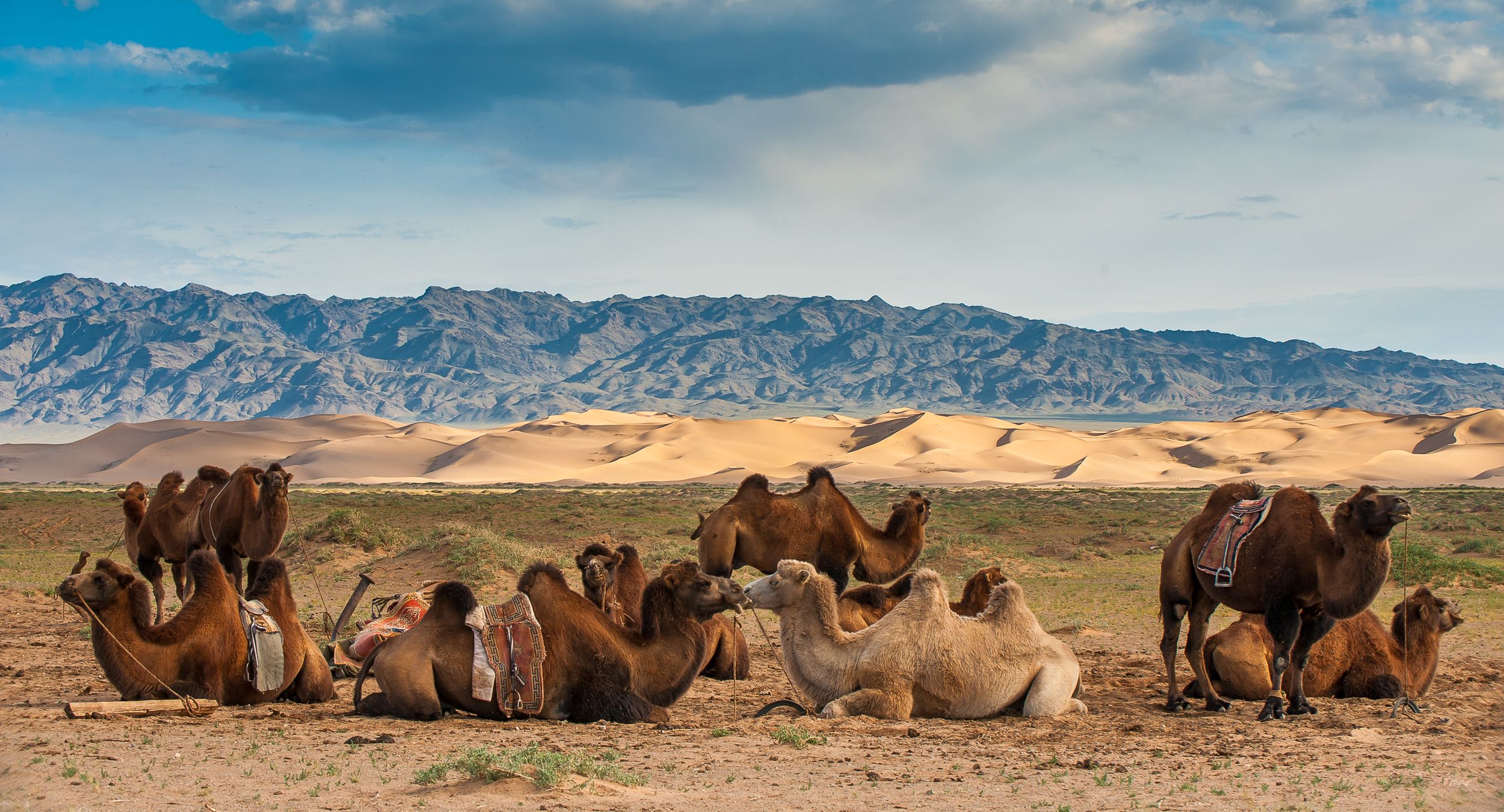 Deserto del Gobi Tour