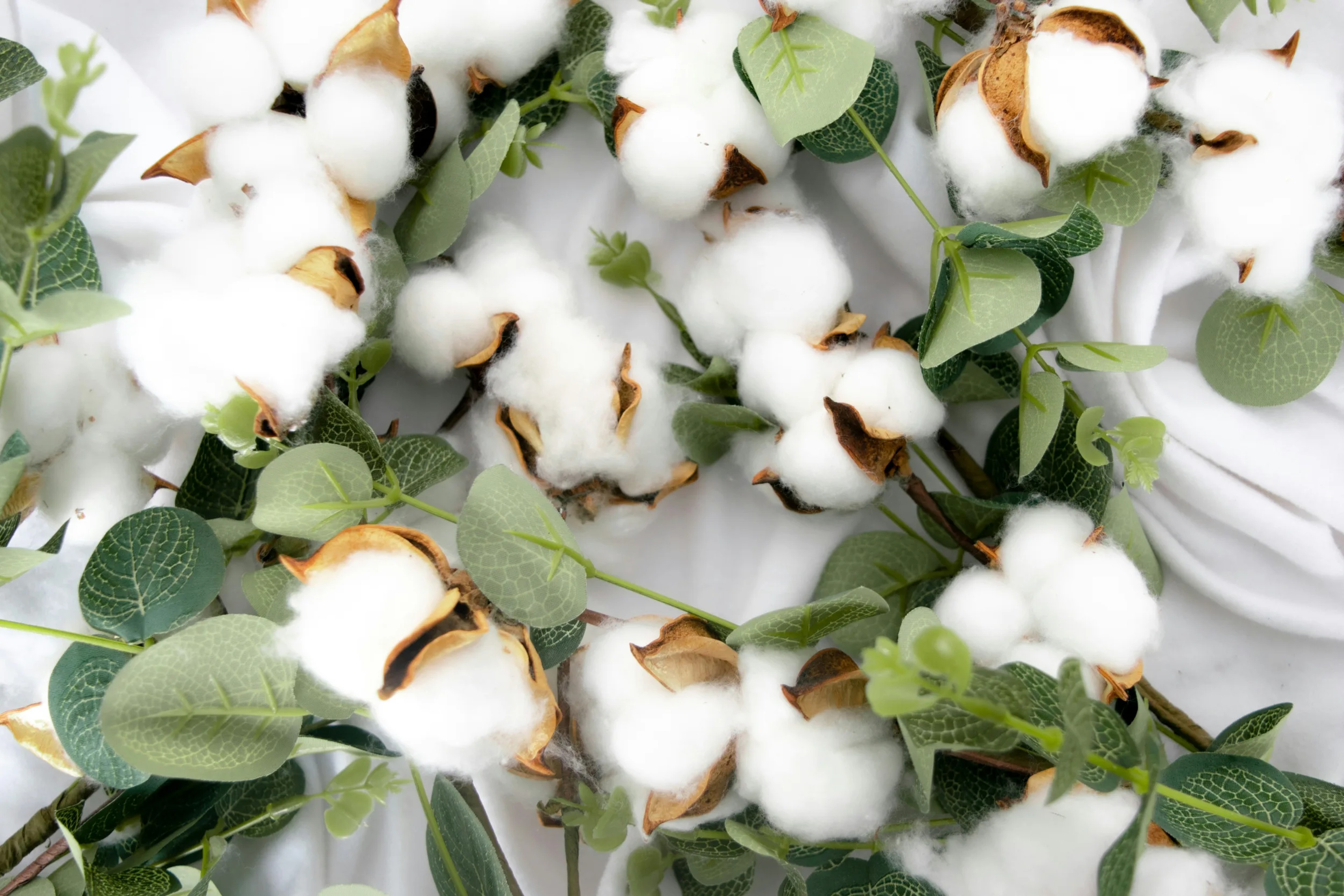 Organic cotton material