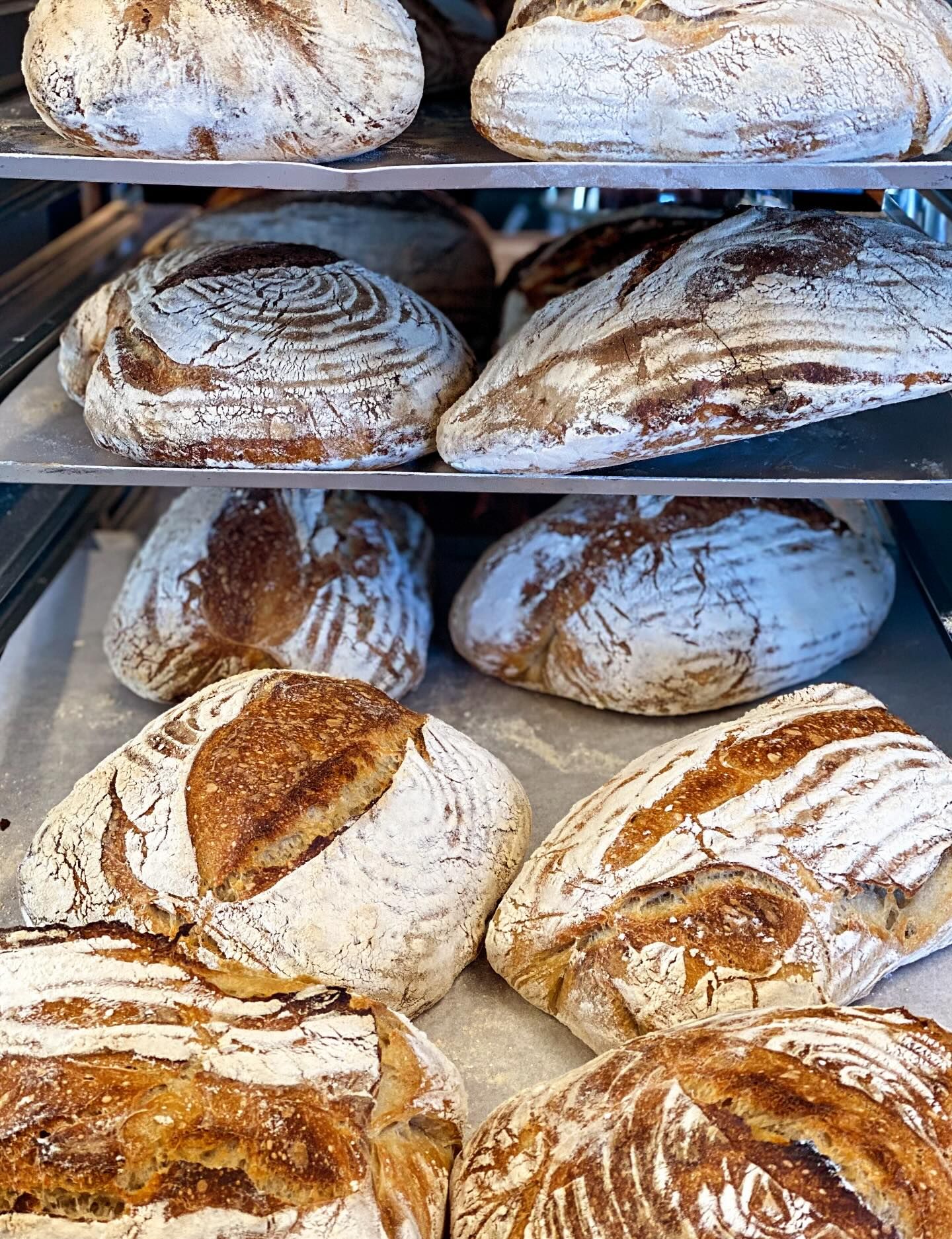 Från Café Duved