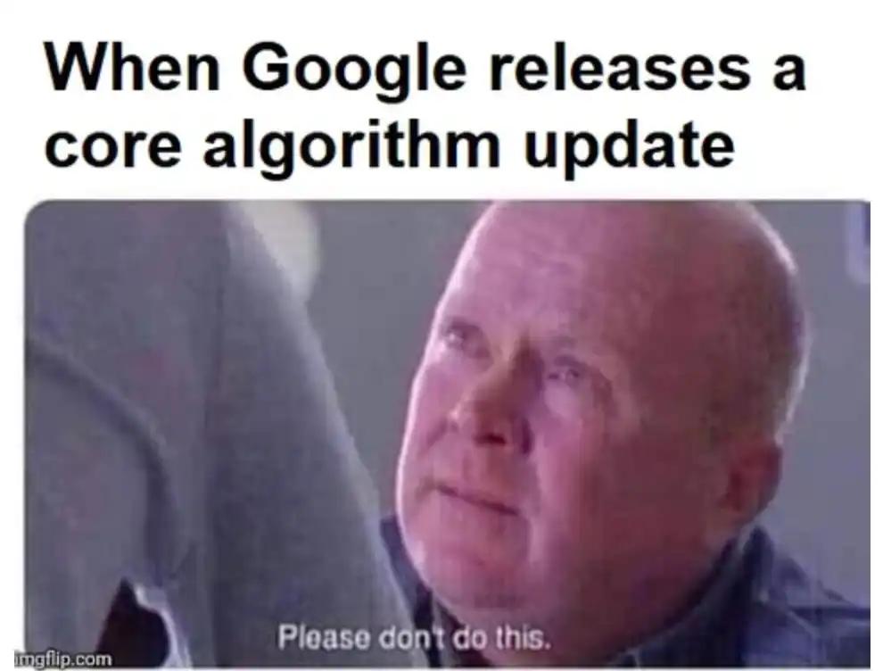 when google releases a core algorithm update meme