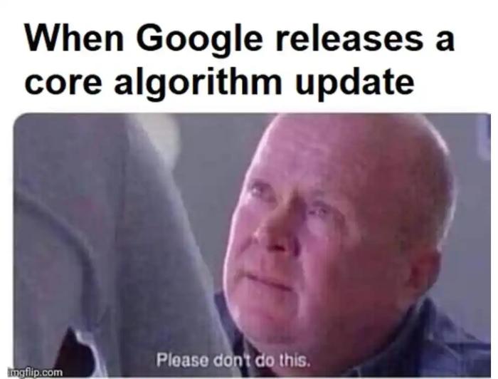 when google releases a core algorithm update meme
