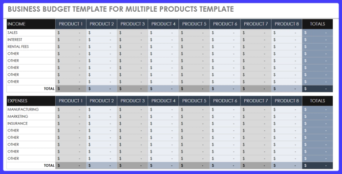Business template for multiple products.