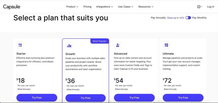 Capsule CRM pricing.
