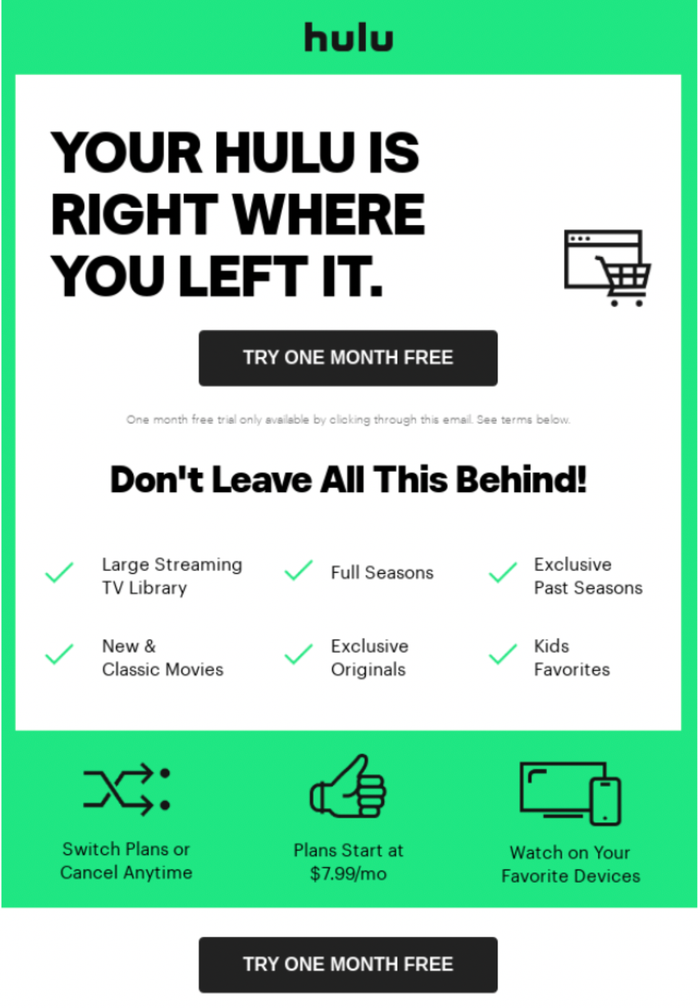 abandoned cart email