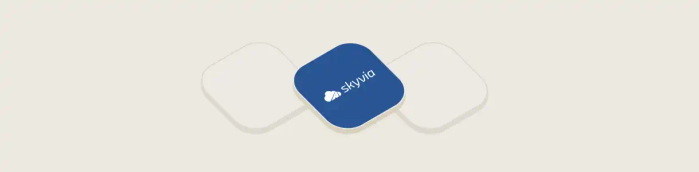 Skyvia Logo