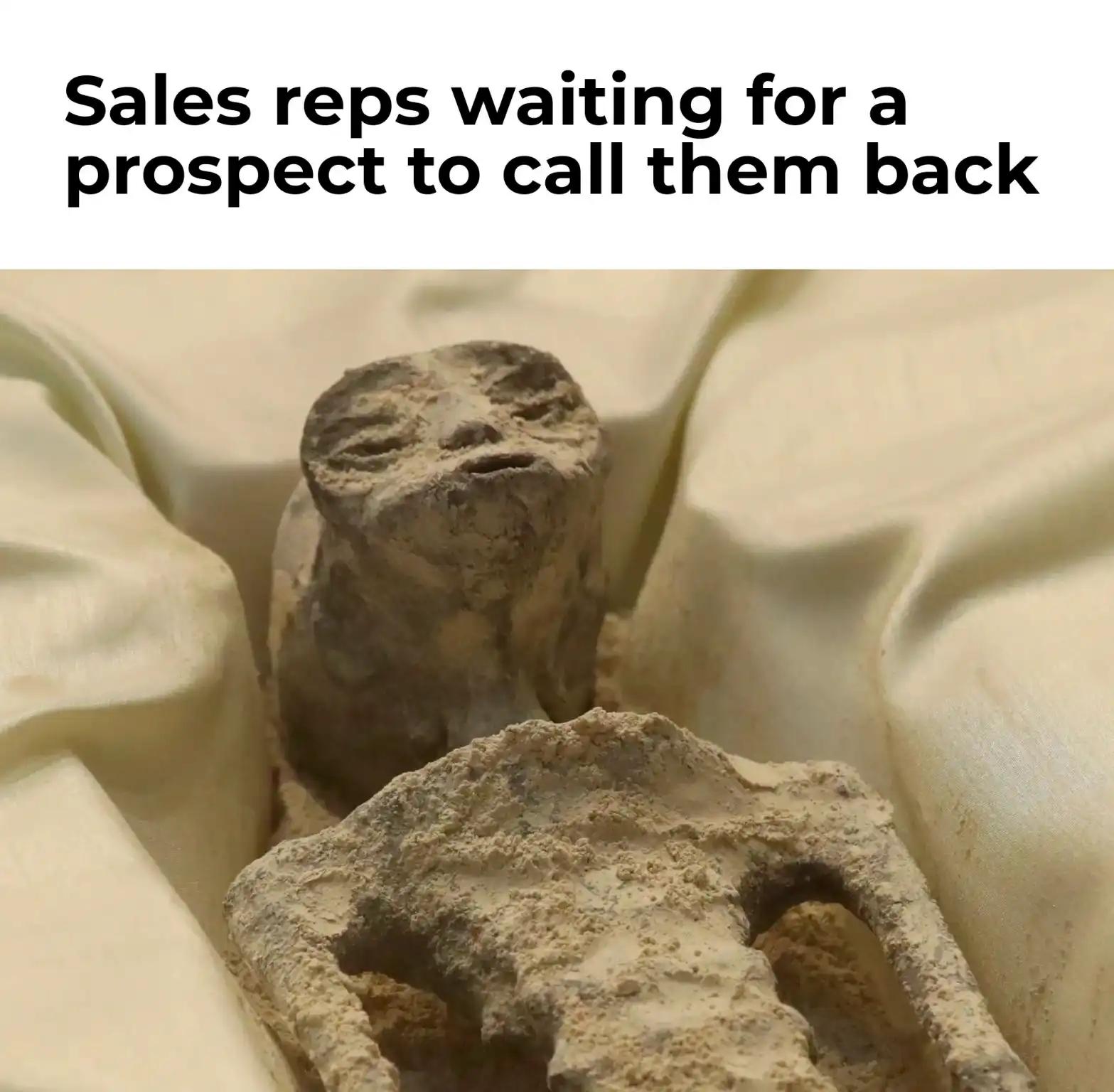 Sales reps meme