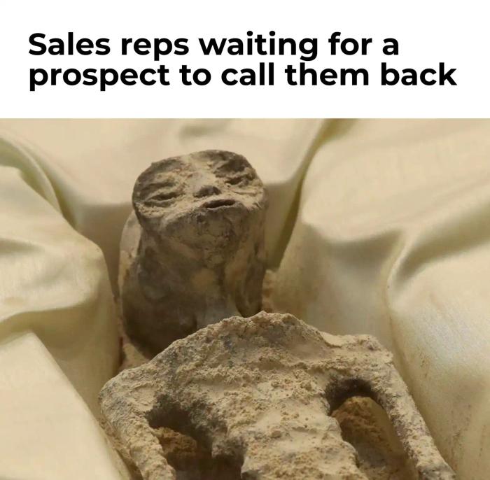 Sales reps meme