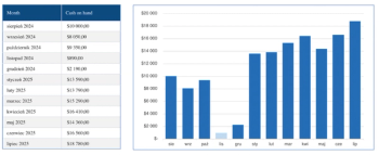 Capital forecasting template