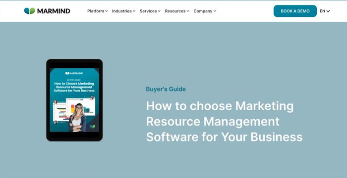 guide on MRM