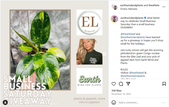 a small business saturday giveaway from earth wind and plants