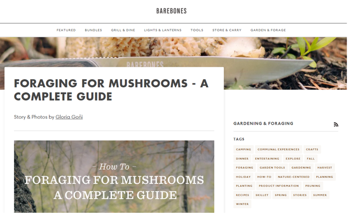 Barebones foraging guide
