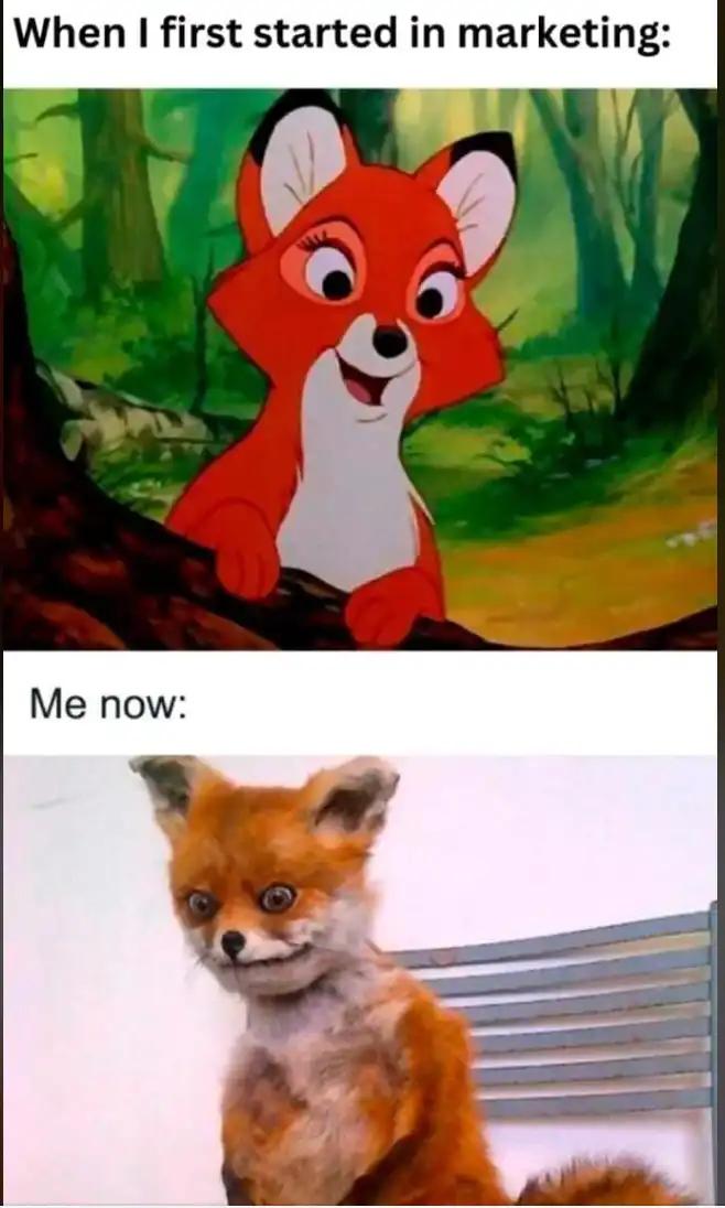marketing, fox meme