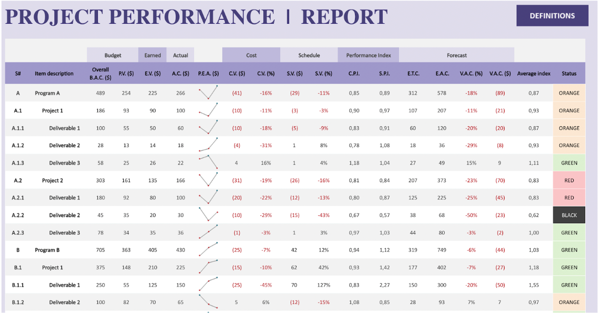 Project performance report