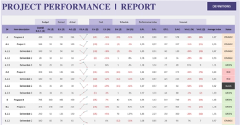 Project performance report