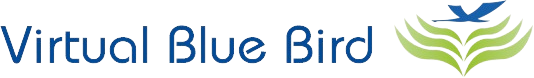 Virtual Blue Bird Ltd.