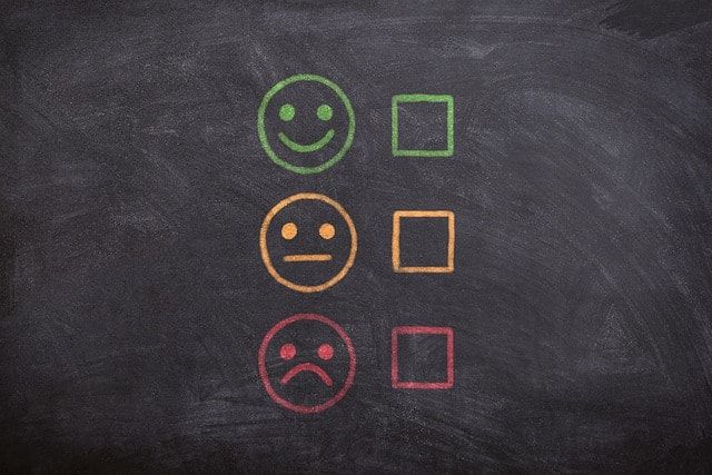 customer feedback survey