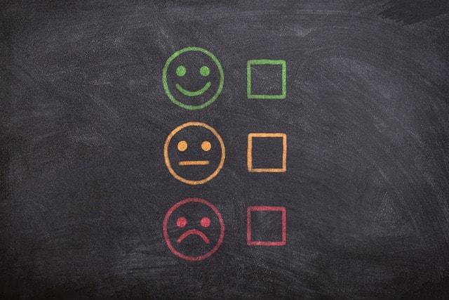 customer feedback survey
