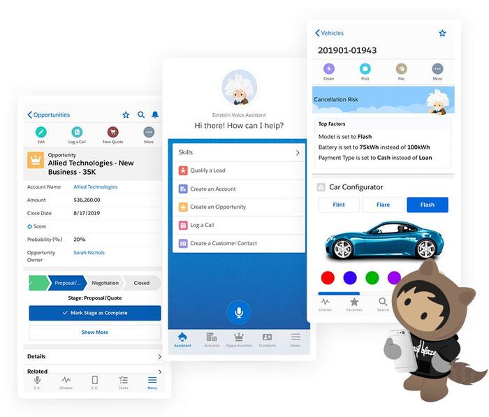 Salesforce mobile app.