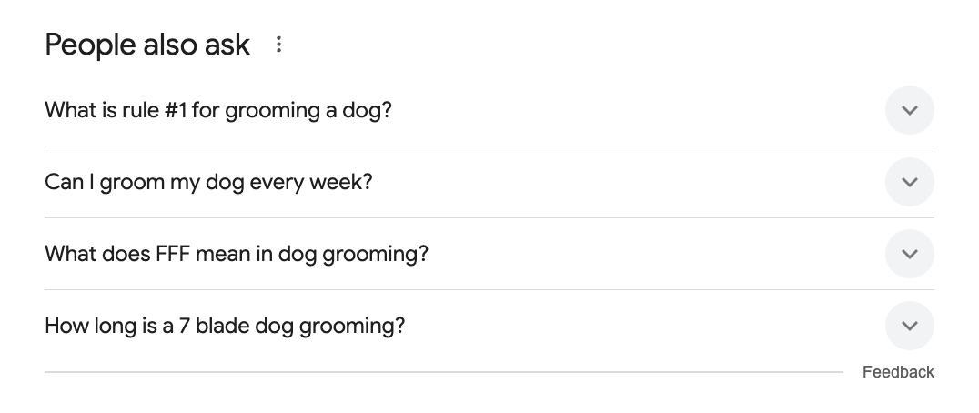 PAA section in Google.