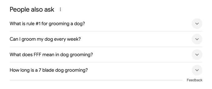 PAA section in Google.