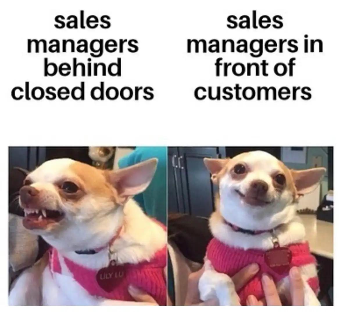 sales managers meme