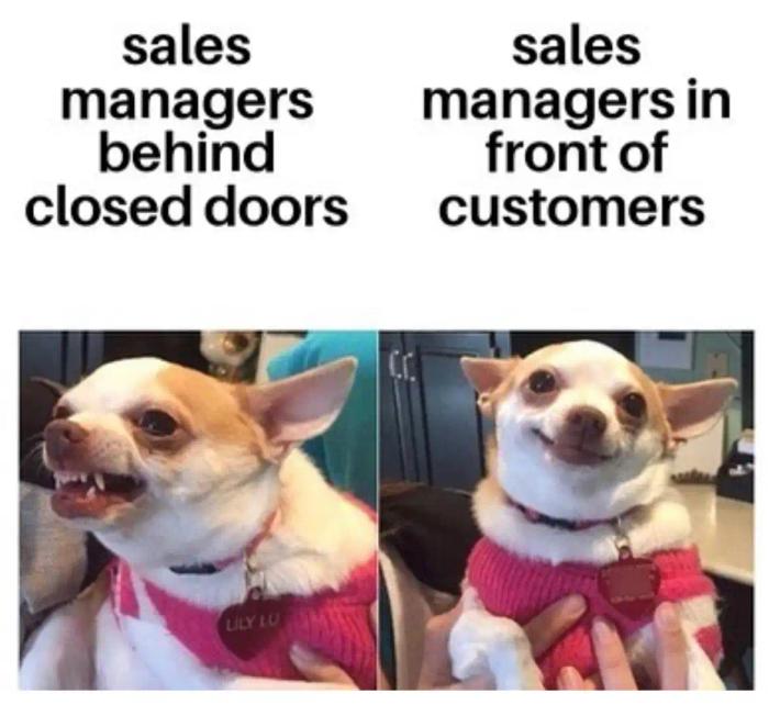 sales managers meme