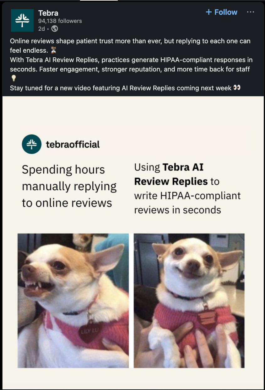 Tebra social post promoting AI review replies with dog meme images.