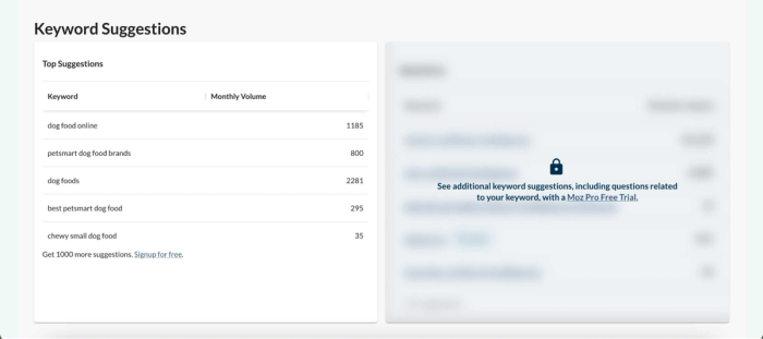 Moz Keyword Explorer's suggestions for keywords.
