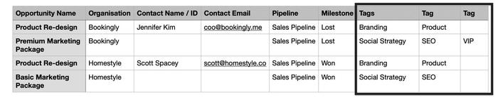 Showing spreadsheet with Tags in multiple columns