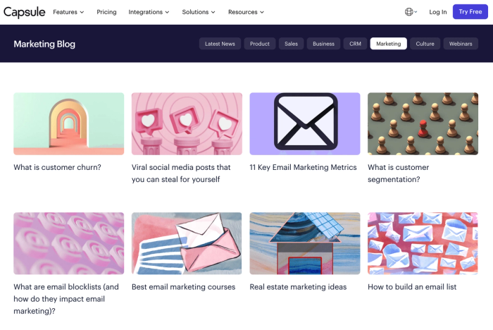 A screenshot of Capsule's marketing-themed blogs