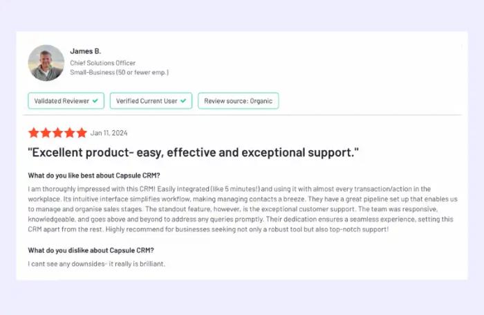 Capsule CRM reviews