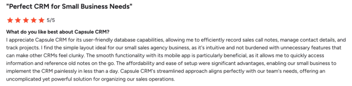 5/5 star review for Capsule CRM, titled 'Perfect CRM for Small Business Needs', highlighting its user-friendliness and mobile app functionality.