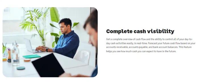 cash visibility